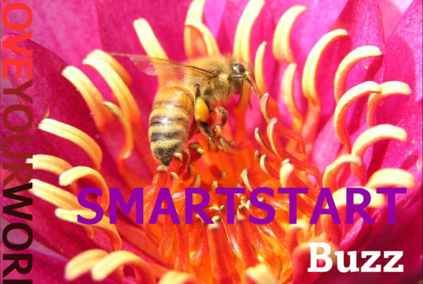 image - SMARTSTART Buzz