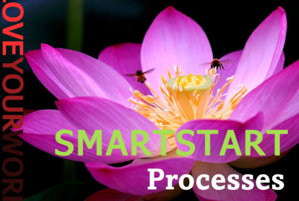 image - SMARTSTART Processes