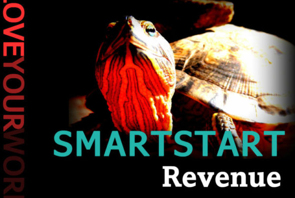 image - SMARTSTART Revenue